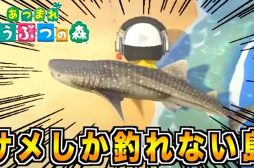 【あつまれどうぶつの森】住民一気に3人追加！！初のサメ島にも上陸！！