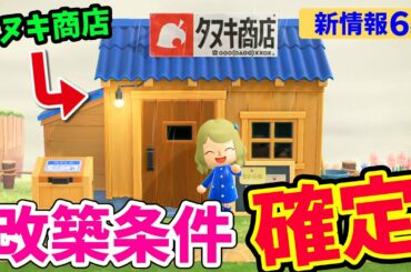 【あつ森】タヌキ商店の改装(改築)方法が公式で確定！風水の存在や特産花まで新情報が盛り沢山！【あつまれどうぶつの森 攻略】