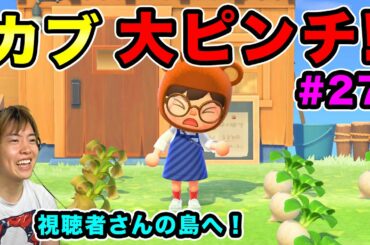 【あつまれどうぶつの森】カブが大ピンチ！救世主を求めて視聴者さんの島へ旅に出る！#27