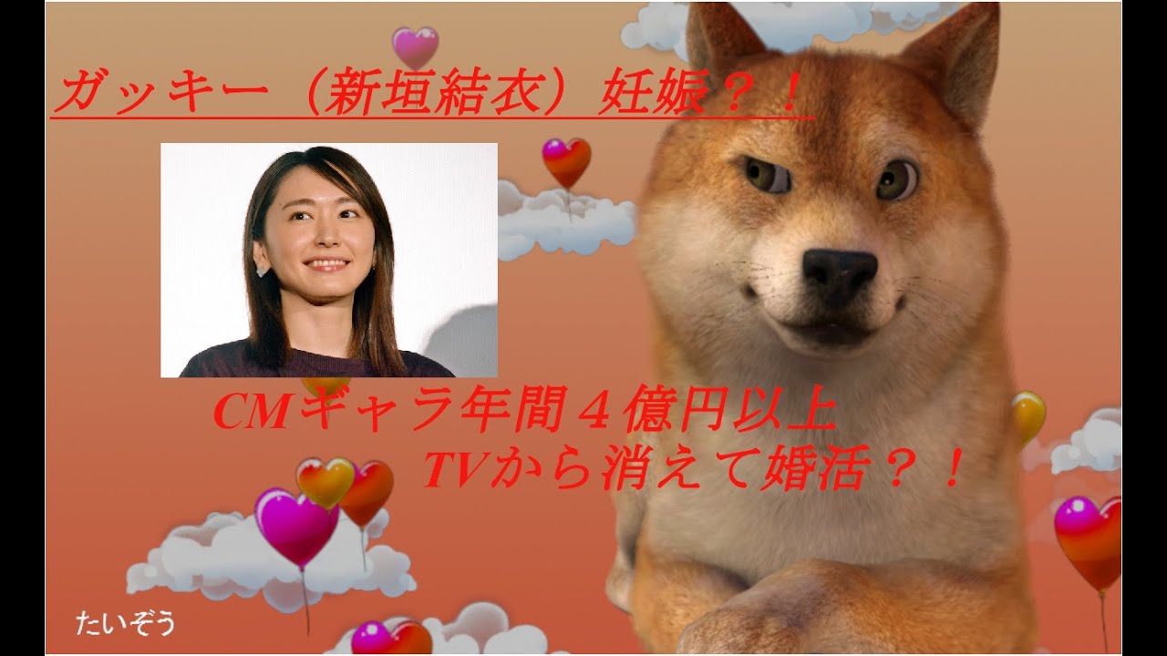 新垣結衣（ガッキー）妊娠？！CMギャラ４億円、TVから消えた理由？