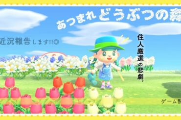 あつまれ どうぶつの森 を やります ^_^ 03 うちの住民のキャラったら濃い ドロドロ関係