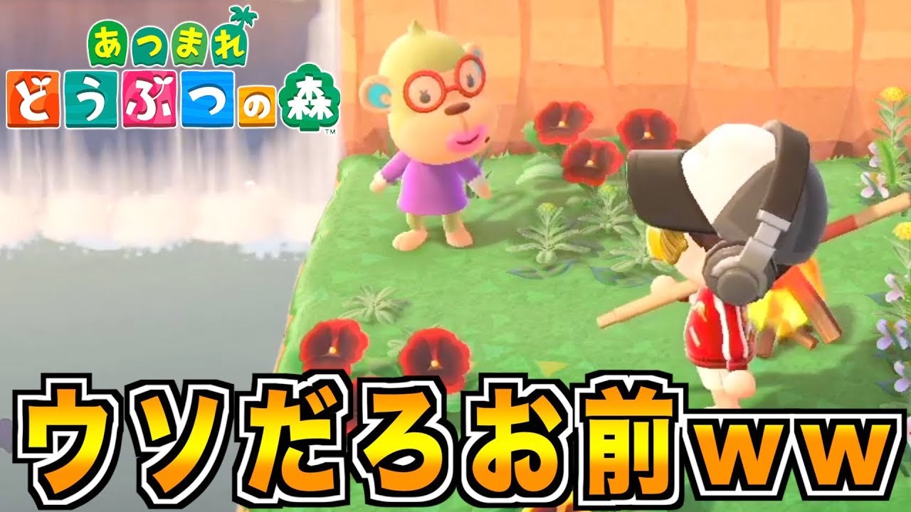 【あつまれどうぶつの森】仕方なくお別れしたブス猿がすぐに帰還する奇跡を起こす