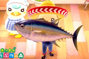 うおおおお！？きたああああ！！！「あつまれ どうぶつの森」【12日目】