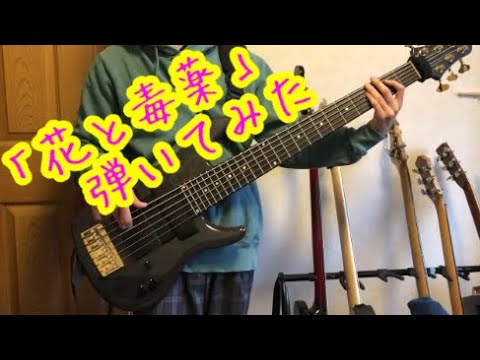 花と毒薬 / 桜井日奈子【bass cover】