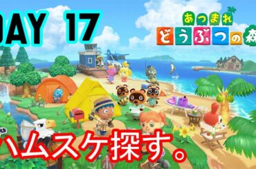 あつまれどうぶつの森（Animal Crossing） DAY 17【ライブ】