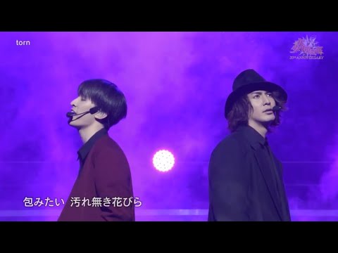 torn / 藤井流星・向井康二 torn / 藤井流星・向井康二