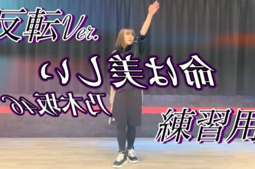 【踊ってみた】乃木坂46　命は美しい　反転Ver.練習用