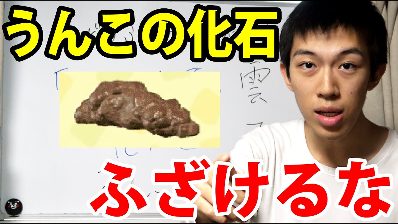 【ブチギレ】あつまれどうぶつの森のアイテム「うんこの化石」 について