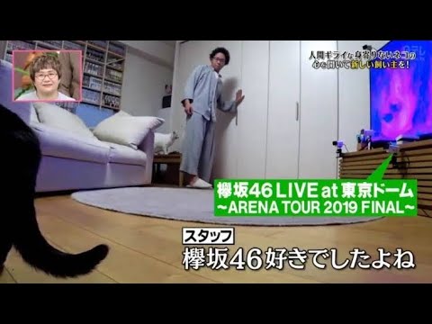 欅坂46が大好きすぎるサンシャイン池崎