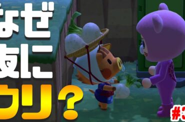 何で夜にウリが居るだに？ ＃32【あつまれどうぶつの森】