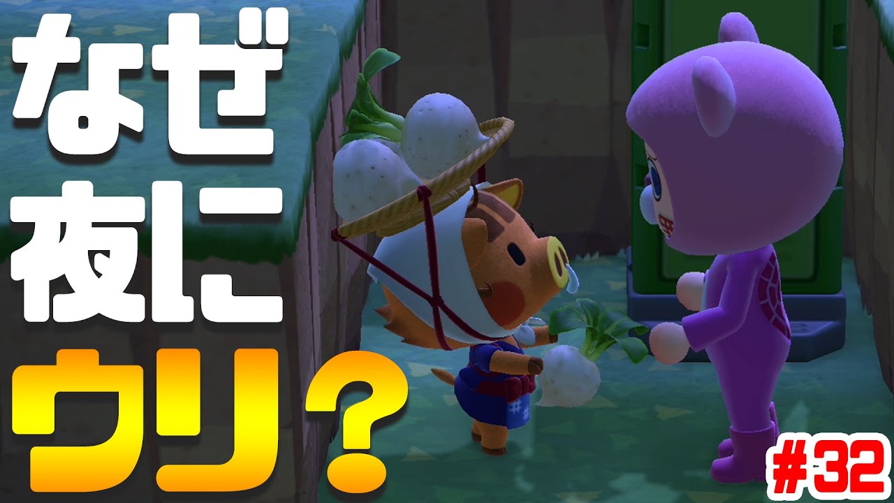 何で夜にウリが居るだに? #32【あつまれどうぶつの森】 何で夜にウリが居るだに? #32【あつまれどうぶつの森】