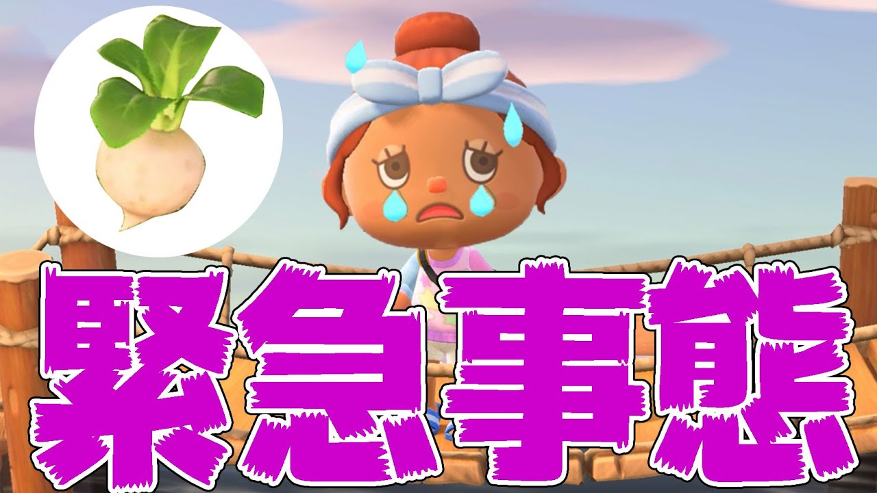 【カズ森】株価があがった!価格は?あつまれどうぶつの森 PART32 【カズ森】株価があがった!価格は?あつまれどうぶつの森 PART32