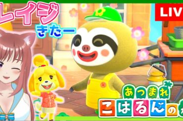 【あつ森】新アプデ レイジきたー ガーデン建築　あつまれどうぶつの森 こはるん実況 【HD/LIVE】Switch Animal Crossing New Horizons