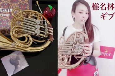 ホルンで椎名林檎「ギブス」を演奏してみた！