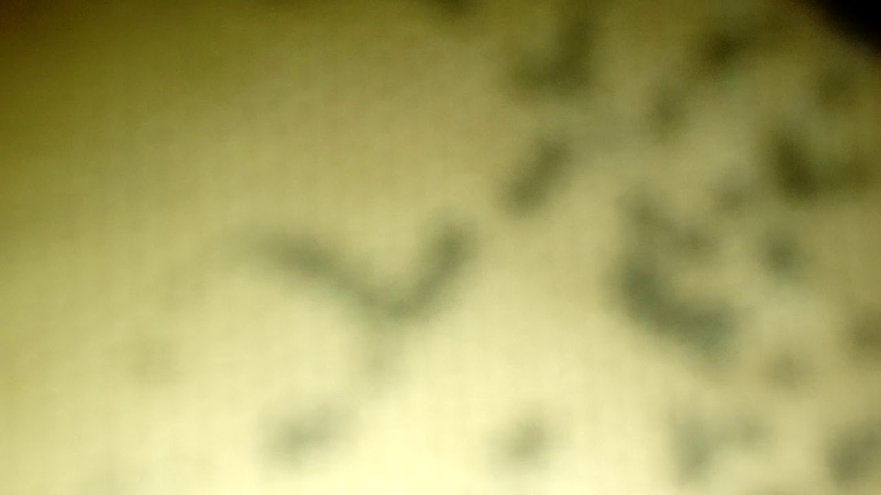 Capítulo 10 de PYGGY// (La conclusión de Nanami :v)