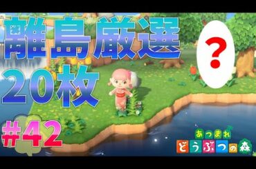 #42【あつまれどうぶつの森】ジャック目指して離島住民厳選20枚したらまさかの結果に！！！