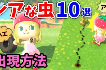 【あつ森】レアな虫10選！ハエやアリ、オケラなど特殊な出現条件の虫とその捕まえ方、値段を紹介！目指せ博物館と図鑑コンプ！【あつまれどうぶつの森 攻略】