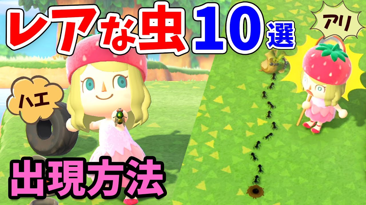 【あつ森】レアな虫10選!ハエやアリ、オケラなど特殊な出現条件の虫とその捕まえ方、値段を紹介!目指せ博物館と図鑑コンプ!【あつまれどうぶつの森 攻略】 【あつ森】レアな虫10選!ハエやアリ、オケラなど特殊な出現条件の虫とその捕まえ方、値段を紹介!目指せ博物館と図鑑コンプ!【あつまれどうぶつの森 攻略】