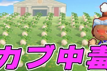 【カズ森】 カブ散財がやめられません…あつまれどうぶつの森 PART36