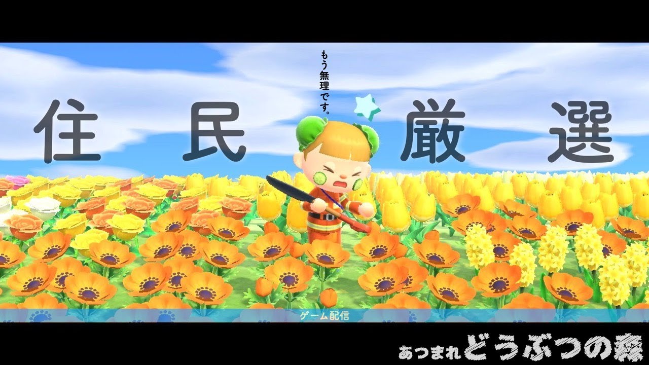 あつまれ  どうぶつの森 を やります ^_^ 04 住民来なすぎ 花増えすぎて無理ぽょ