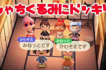 【あつ森】しゃちくるみにドッキリ！？声が似てる二人が入れ替わったらいつ気づくのか！【あつまれどうぶつの森】