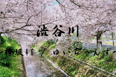 渋谷川 / ゆいちゃんず(欅坂46)　ギターデュオ by ファミマ！！