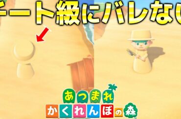 【あつ森】砂浜に完全同化してかくれんぼしたら、99.999%バレない想像を絶する面白さだったwwwwww【あつまれどうぶつの森: しゆん てるとくん】