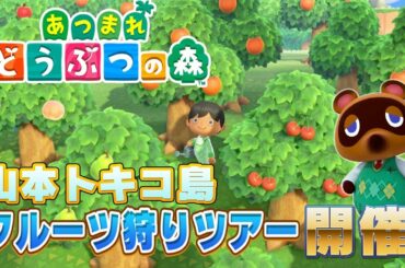 【 どうぶつの森】フルーツ狩り！鮪リュウグウノツカイ大漁！息子寝てるよ小声配信！