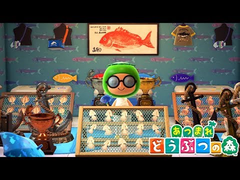 俺ご自慢の海の男の部屋を見てくれ！！【あつまれ どうぶつの森】#25