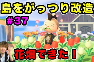 【あつまれどうぶつの森】島をがっつり改造してみた！水と花を融合した花畑を作っていく！#37
