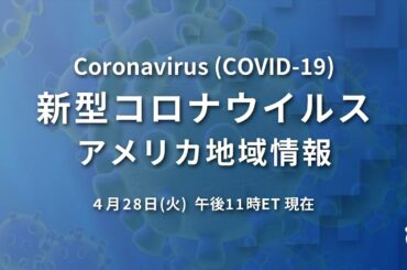 新型コロナウイルス　米国地域情報　東部時間 4/28 午後11時 現在