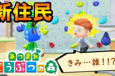 【あつまれどうぶつの森】謎の住民が住みついているんだが…君の名は…