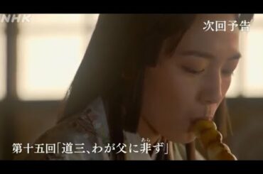 大河ドラマ「麒麟がくる」予告⑮