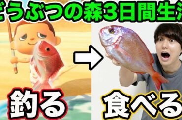 3日間「あつまれ どうぶつの森」で出た食材だけで生活！