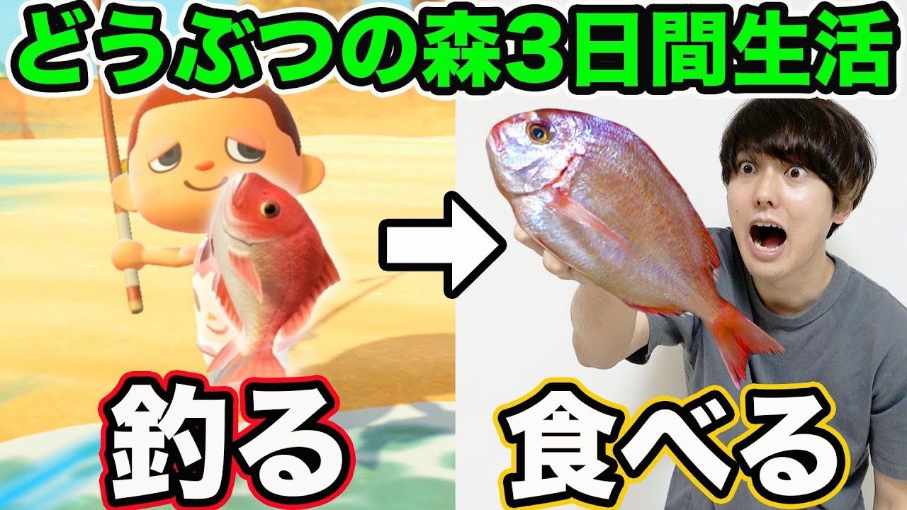3日間「あつまれ どうぶつの森」で出た食材だけで生活! 3日間「あつまれ どうぶつの森」で出た食材だけで生活!