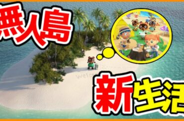 【あつまれどうぶつの森】効率を求めて島破壊します【あつもり実況】#19