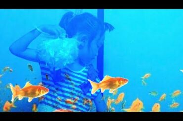 Moana sea モアナ海