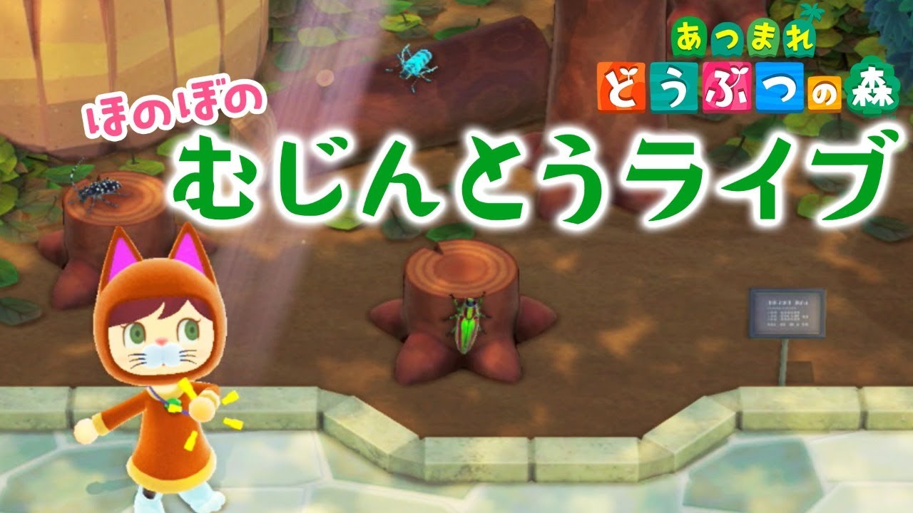 あつまれどうぶつの森 5月の虫 魚を ゆる く集めていく ほのぼの無人島ライフをライブ配信 あつ森 Yayafa
