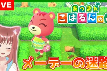 【あつまれどうぶつの森】メーデーの迷路で遊ぶよ　あつ森 ☆ こはるん実況  【HD/LIVE】Switch　Animal Crossing New Horizons