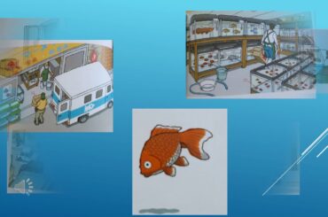 LE POISSON ROUGE DE NANAMI