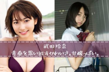 武田玲奈のちょっとえっちなグラビア写真集　Rena Takeda