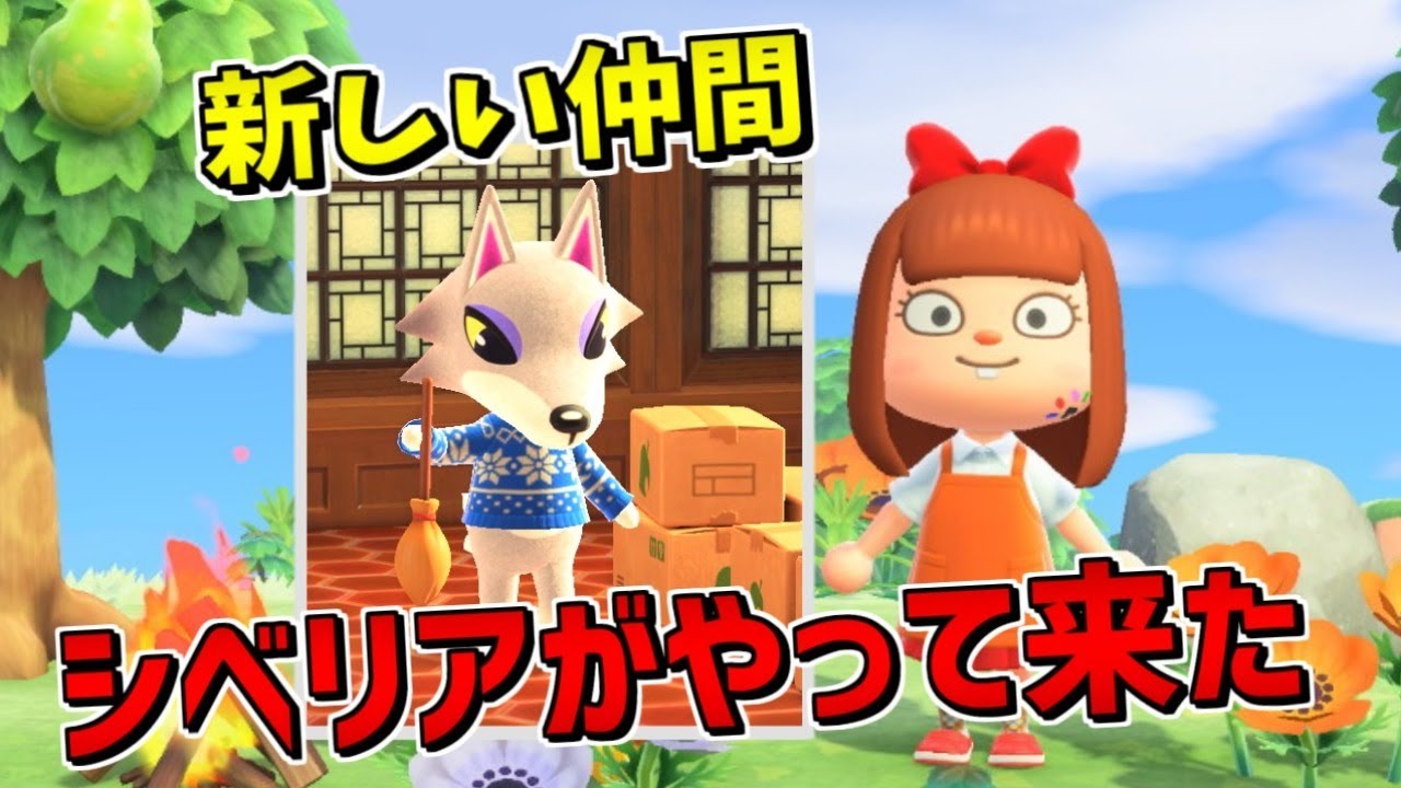 【あつまれ どうぶつの森】シベリアがあしあ島にやって来た(*´▽｀*)