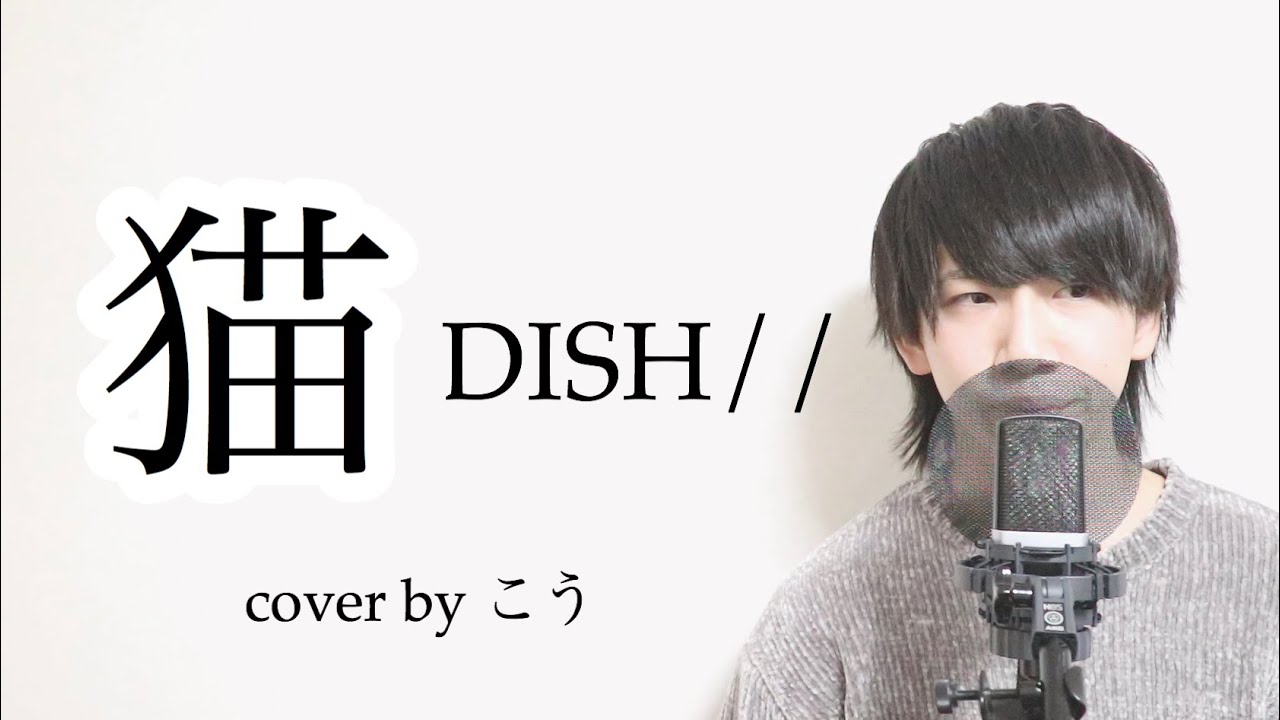 猫 - DISH// 歌ってみた 歌詞付き