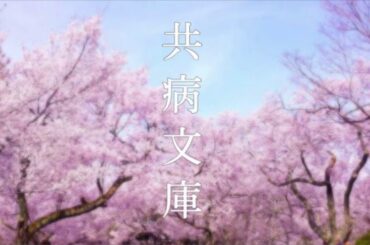 映画【君の膵臓をたべたい】より  共病文庫
