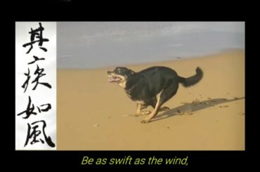 FURINKAZAN - Dog version | 大河ドラマ 風林火山 - 犬