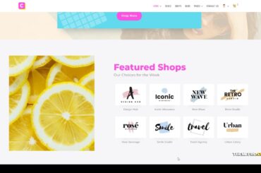 CouponSeek - Deals and Discounts WordPress Theme marketing clean Nanami