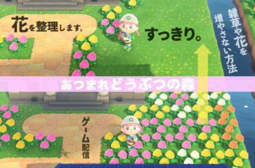 あつまれどうぶつの森 を やります ^_^ 05 花の掃除しながら 恋バナ