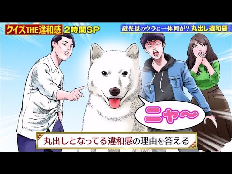 クイズ！ＴＨＥ違和感 2020年5月11日／豪華スターがリモート参戦！２時間ＳＰ PART ① FULL HD