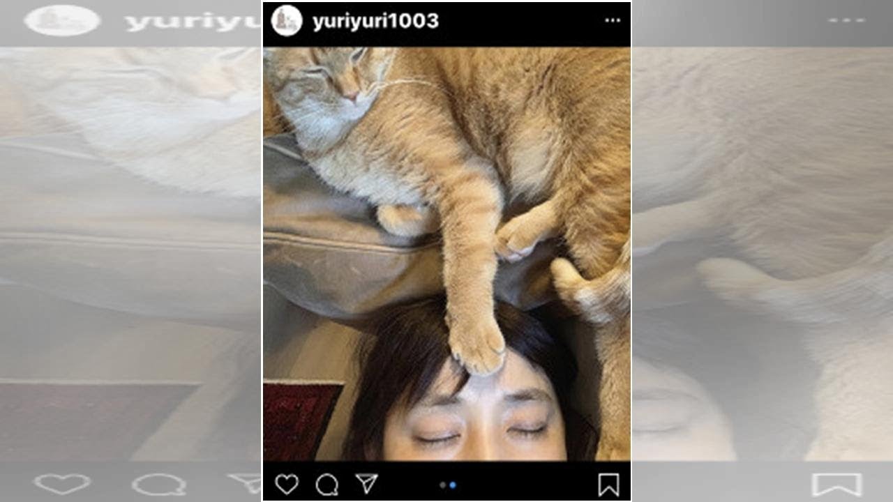 石田ゆり子「おでこが妙に暑くて目を開けたらハニオの手」　ほのぼのショットが反響
