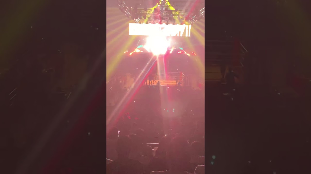 RIZIN.17 朝倉未来 入場シーン RIZIN.17 朝倉未来 入場シーン